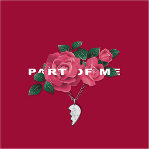 成人无码www免费视频苹果版
