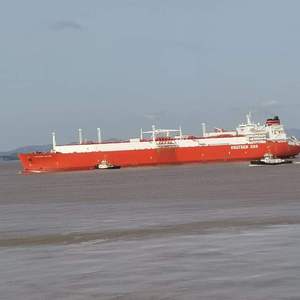 成人无码www免费视频苹果版
