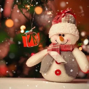 成人无码www免费视频苹果版
