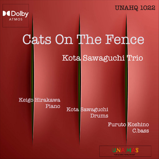 成人无码www免费视频苹果版
